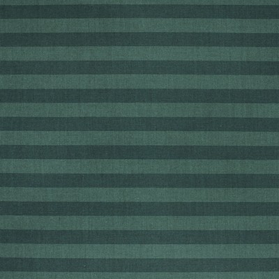 Silver State Sag Harbor Forest